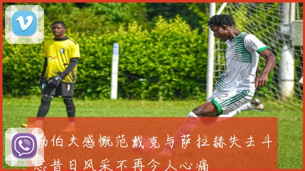勒伯夫感慨范戴克与萨拉赫失去斗志昔日风采不再令人心痛
