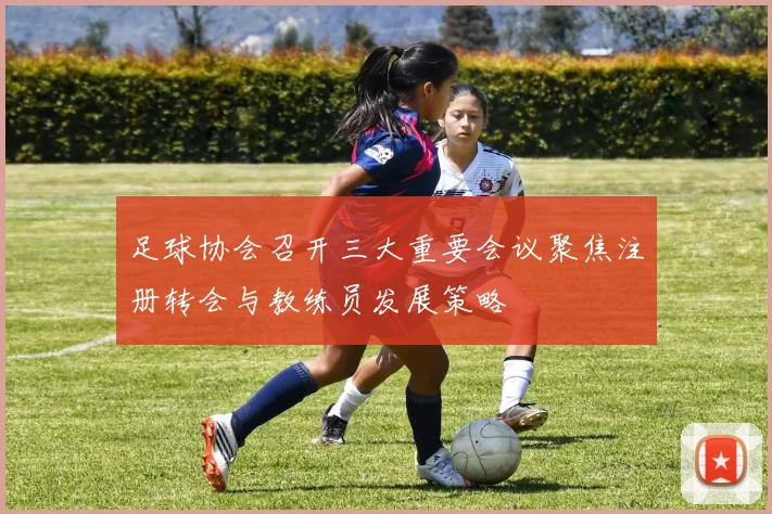 足球协会召开三大重要会议聚焦注册转会与教练员发展策略