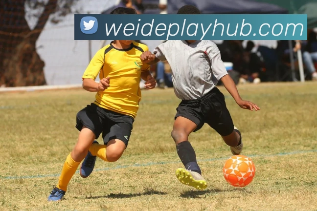 数据防护可视化